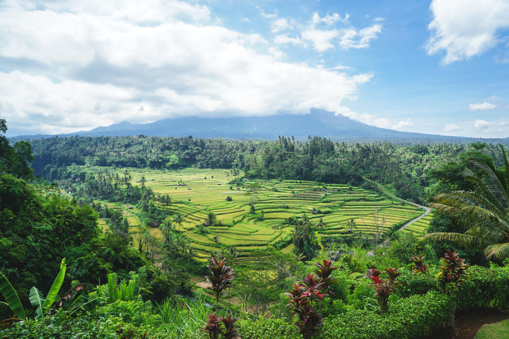 bali-remote-work